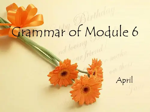 non-defining attributive clause