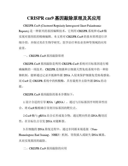CRISPR cas9基因敲除原理及其应用