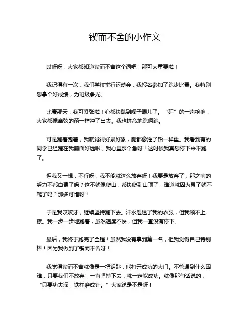 锲而不舍的小作文
