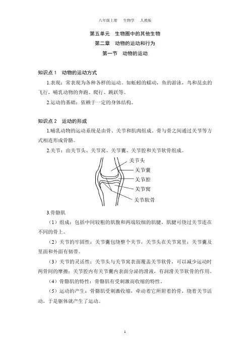 5.2.1 动物的运动(八上生物人教)