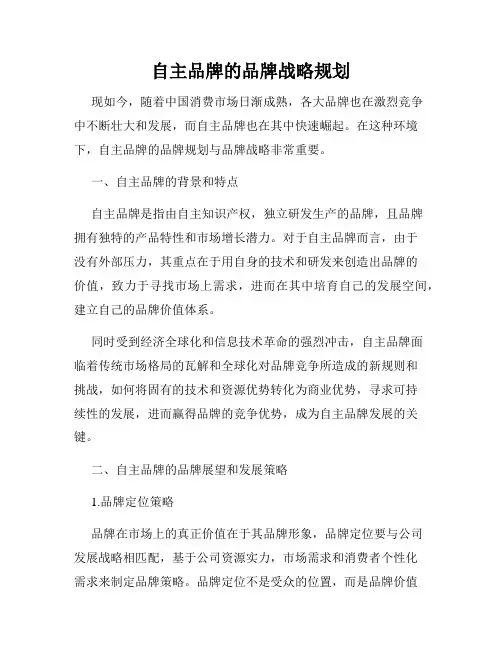 自主品牌的品牌战略规划