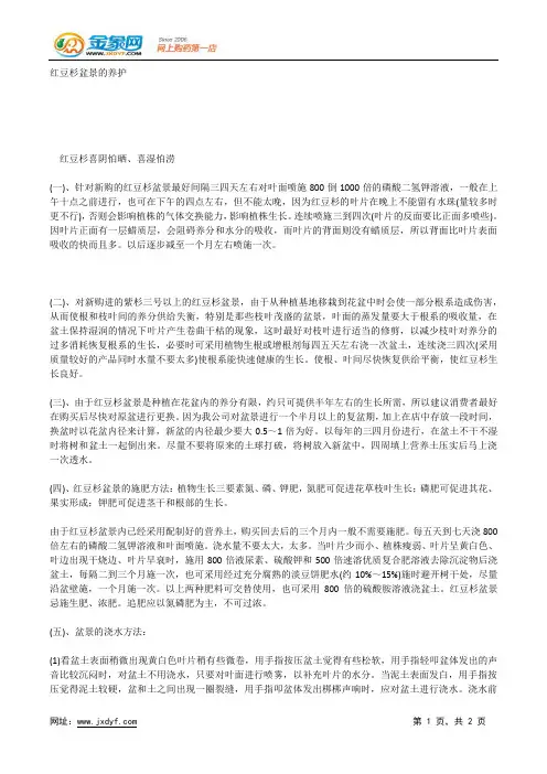红豆杉盆景的养护.docx