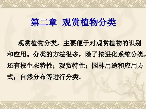 第二章 观赏植物分类1