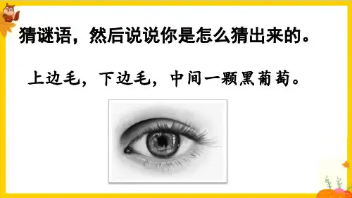 部编版一年级语文下册第一单元识字4《猜字谜》教学课件)