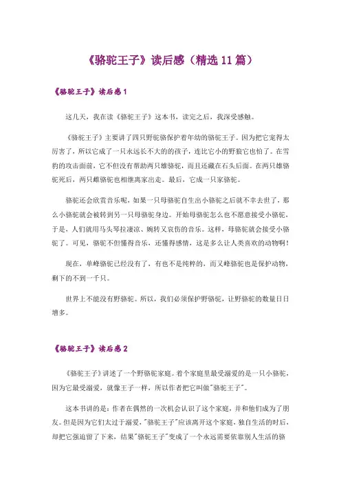 《骆驼王子》读后感(精选11篇)