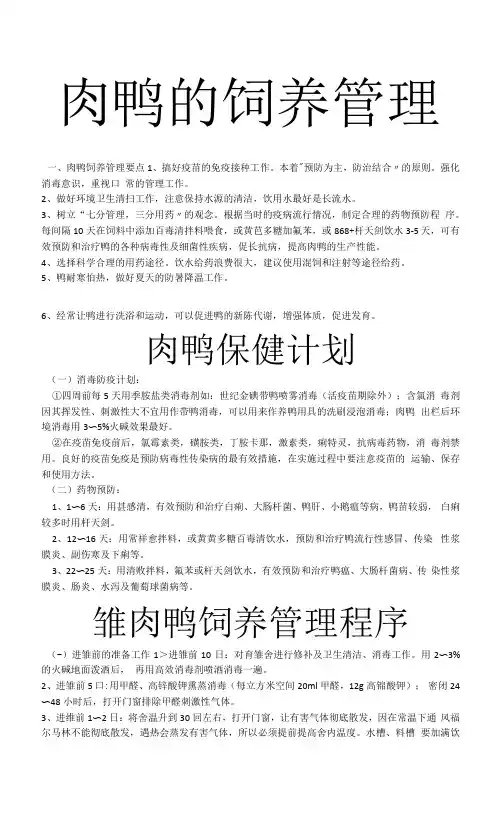 肉鸭的饲养管理