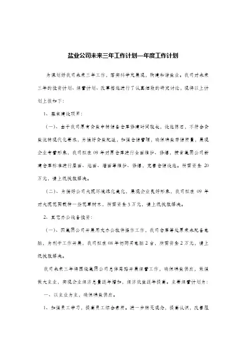 盐业公司未来三年工作计划—年度工作计划.doc