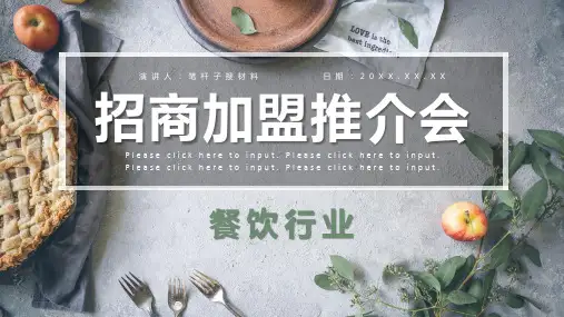 餐饮行业招商加盟流程介绍路演宣讲会演讲专用PPT模板