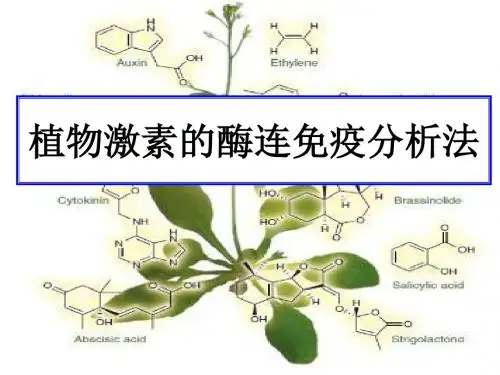 植物激素的测定方法-精品文档