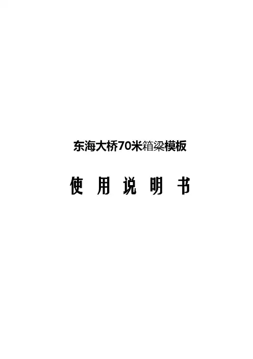 东海大桥钢模板使用说明书