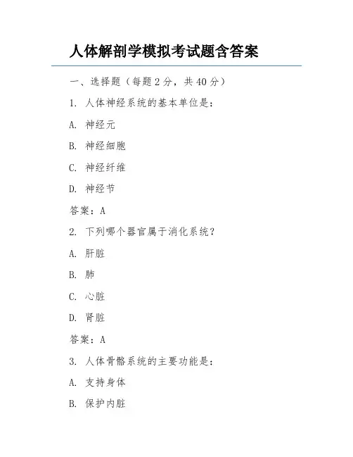 人体解剖学模拟考试题含答案