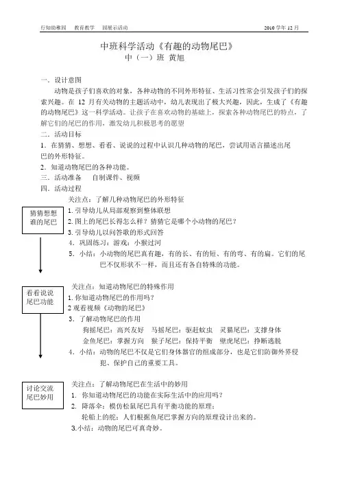 有趣的动物尾巴教案