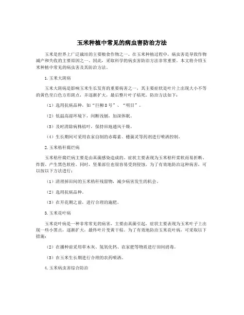 玉米种植中常见的病虫害防治方法