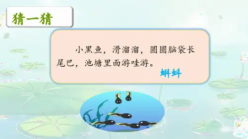 部编版语文二年级上册《小蝌蚪找妈妈》课件