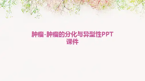 肿瘤-肿瘤的分化与异型性PPT课件