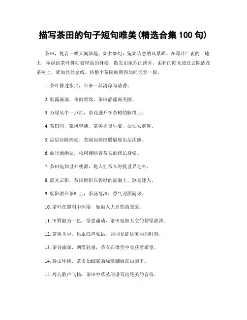 描写茶田的句子短句唯美(精选合集100句)