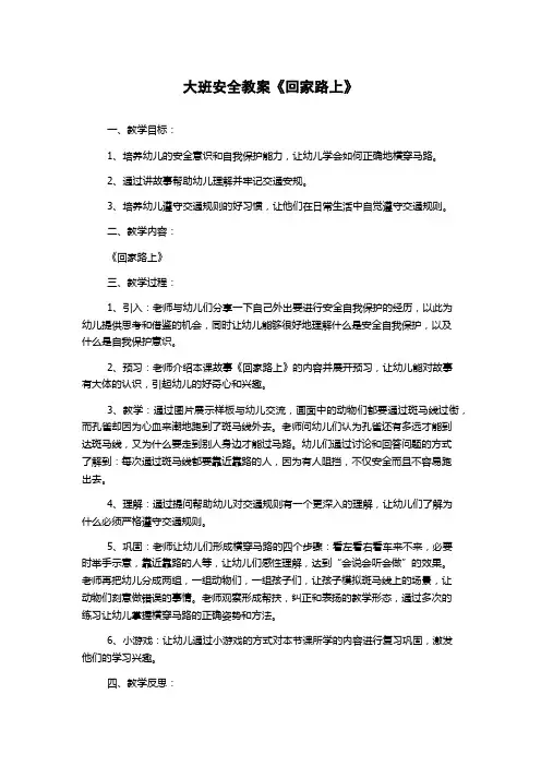 大班安全教案《回家路上》