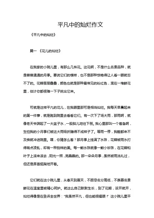 平凡中的灿烂作文
