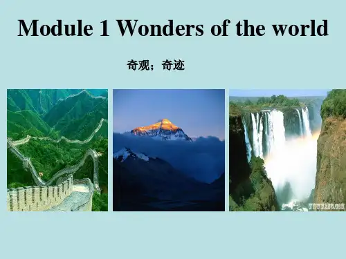 外研版九年级英语上册：Module1Unit1课件(共49张PPT)