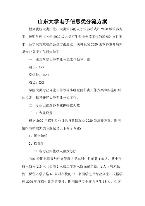 山东大学电子信息类分流方案