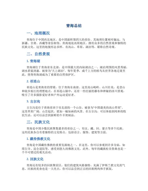 青海总结范文