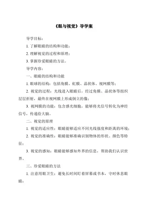 《眼与视觉导学案》