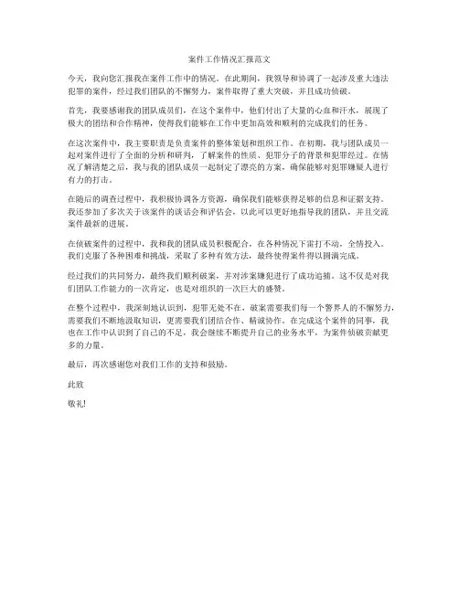 案件工作情况汇报范文