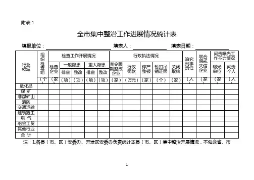 全市集中整治工作进展情况统计表【模板】
