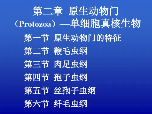 原生动物门