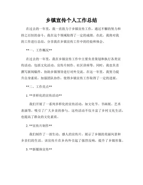 乡镇宣传个人工作总结