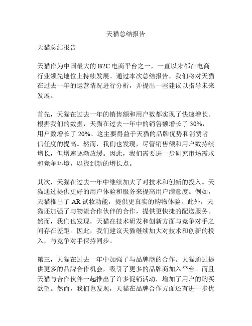 天猫总结报告