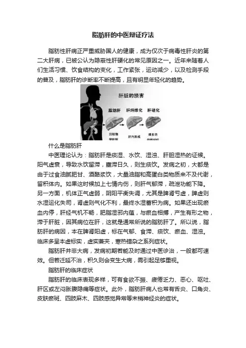 脂肪肝的中医辩证疗法