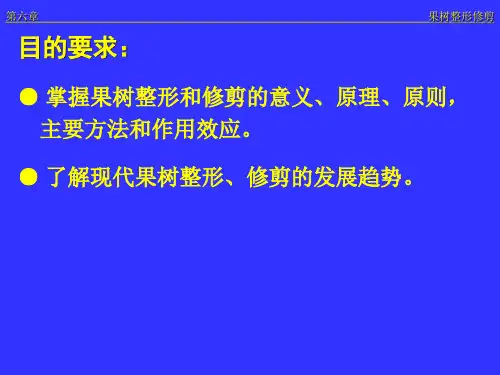 果树整形与修剪ppt课件