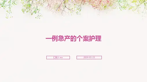 一例急产的个案护理PPT课件