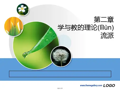 第二章学与教的理论流派 2