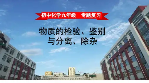 初三九年级 化学 复习专题 物质的检验、鉴别与分离、除杂课件