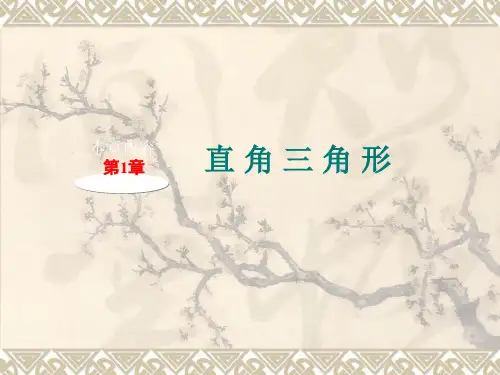 直角三角形判定与性质