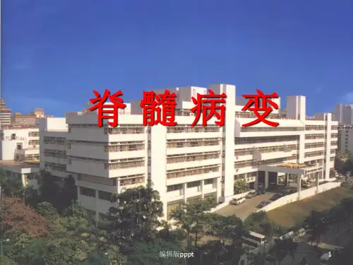 脊髓病变ppt课件