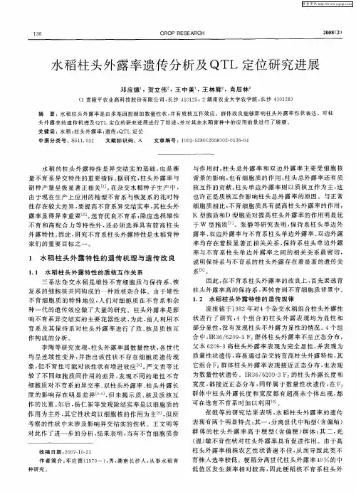 水稻柱头外露率遗传分析及QTL定位研究进展