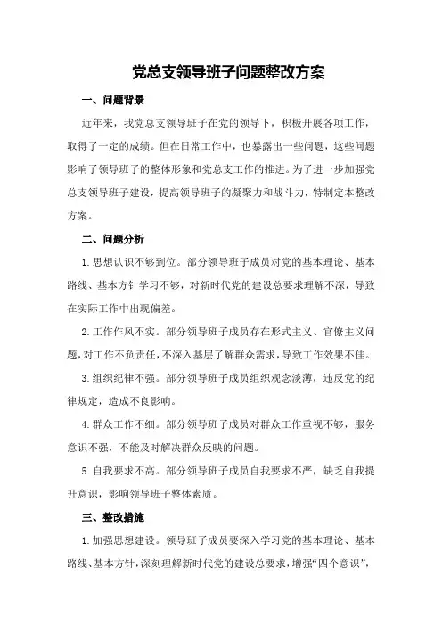党总支领导班子问题整改方案