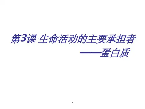一轮复习：生命活动的主要承担者—蛋白质ppt课件