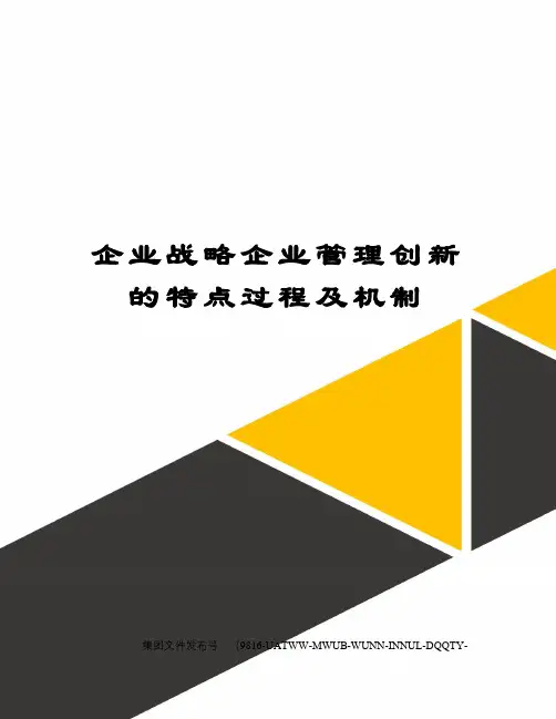 企业战略企业管理创新的特点过程及机制