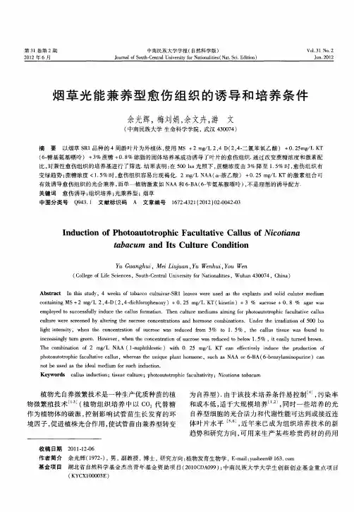 烟草光能兼养型愈伤组织的诱导和培养条件