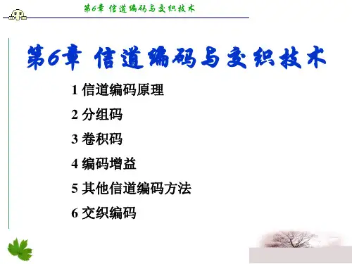 第6章 信道编码与交织技术