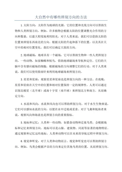 大自然中有哪些辨别方向的方法