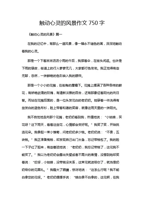 触动心灵的风景作文750字