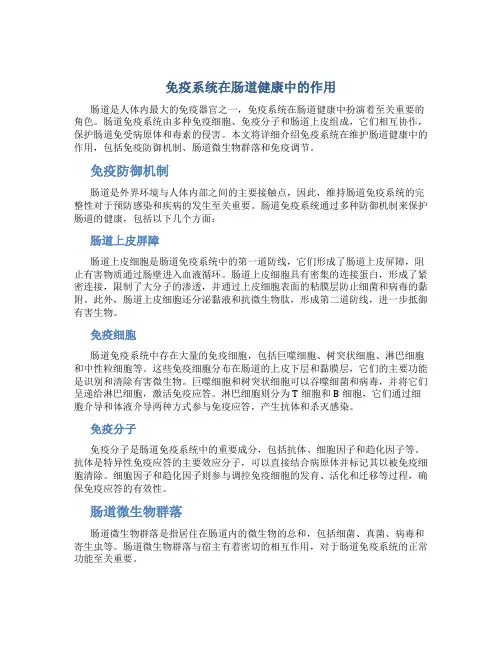 免疫系统在肠道健康中的作用