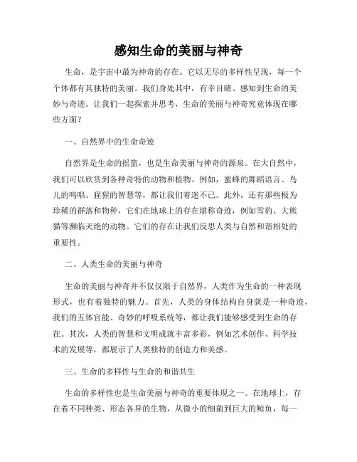感知生命的美丽与神奇