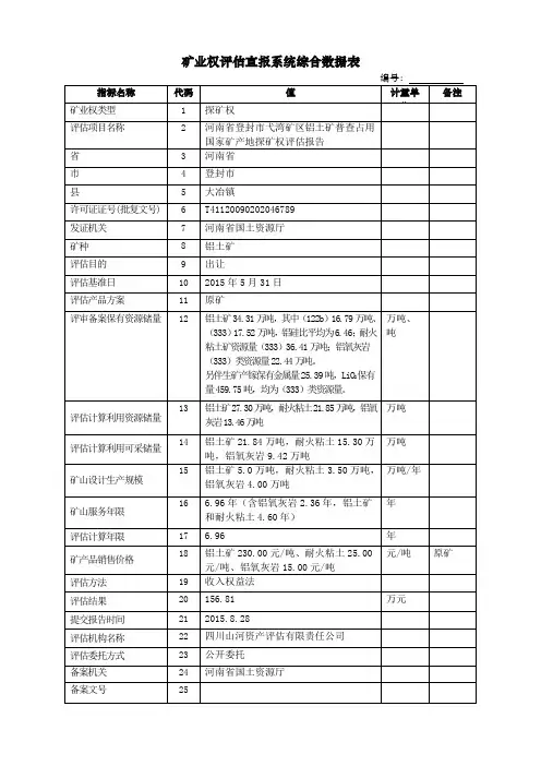 矿业权评估直报系统综合数据表