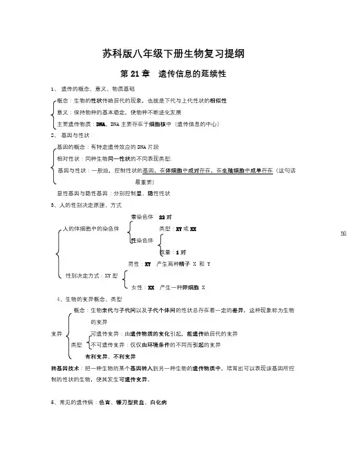 苏教版生物八年级下册期末复习提纲